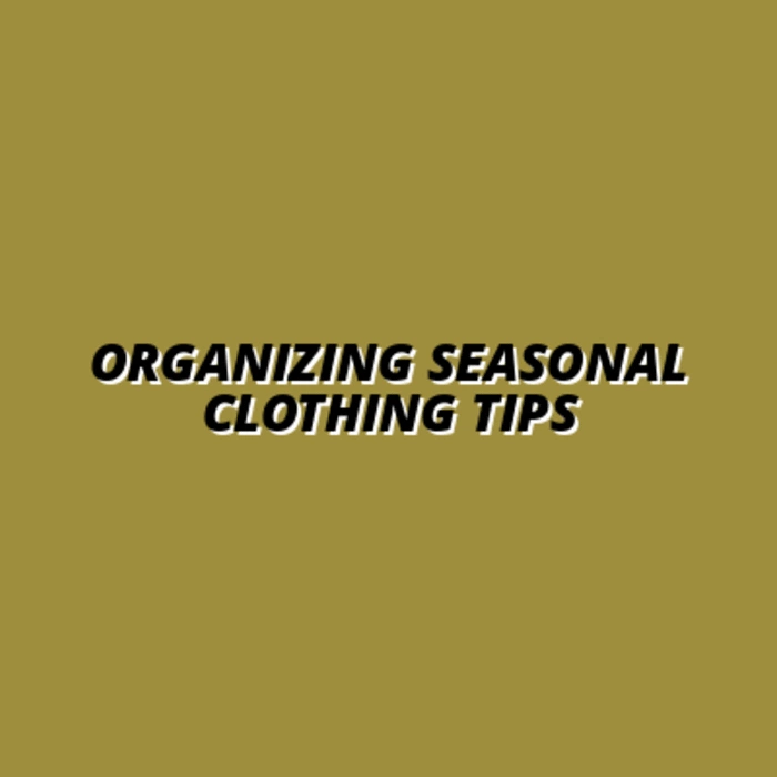 strategies for organizing seasonal clothing effectively