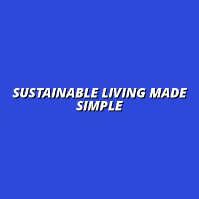eco-friendly minimalism: sustainable living tips